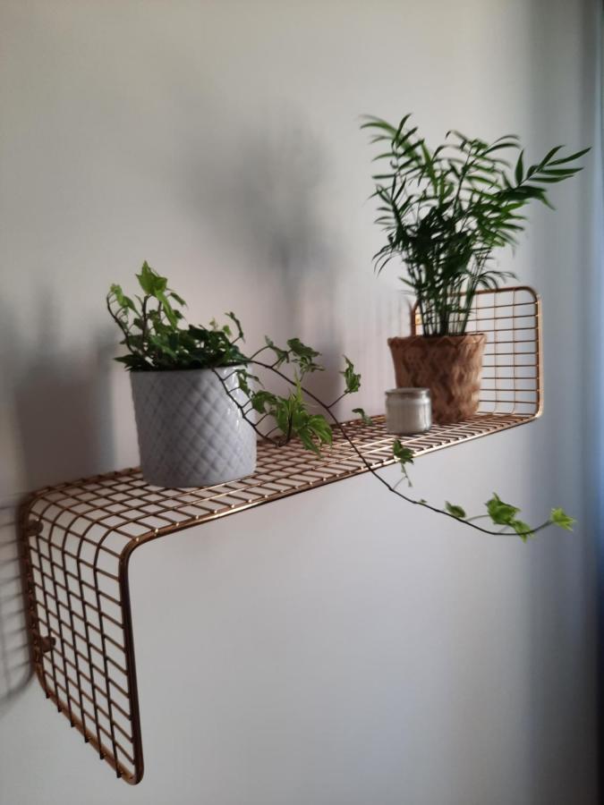 Apartament W Centrum Wroclawia Διαμέρισμα Εξωτερικό φωτογραφία