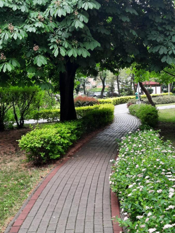 Apartament W Centrum Wroclawia Διαμέρισμα Δωμάτιο φωτογραφία