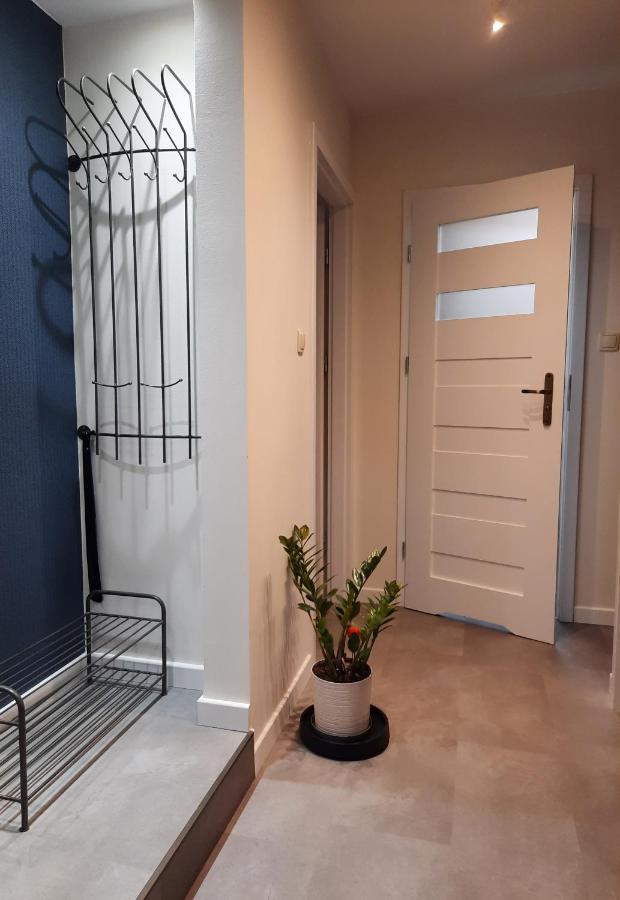 Apartament W Centrum Wroclawia Διαμέρισμα Εξωτερικό φωτογραφία